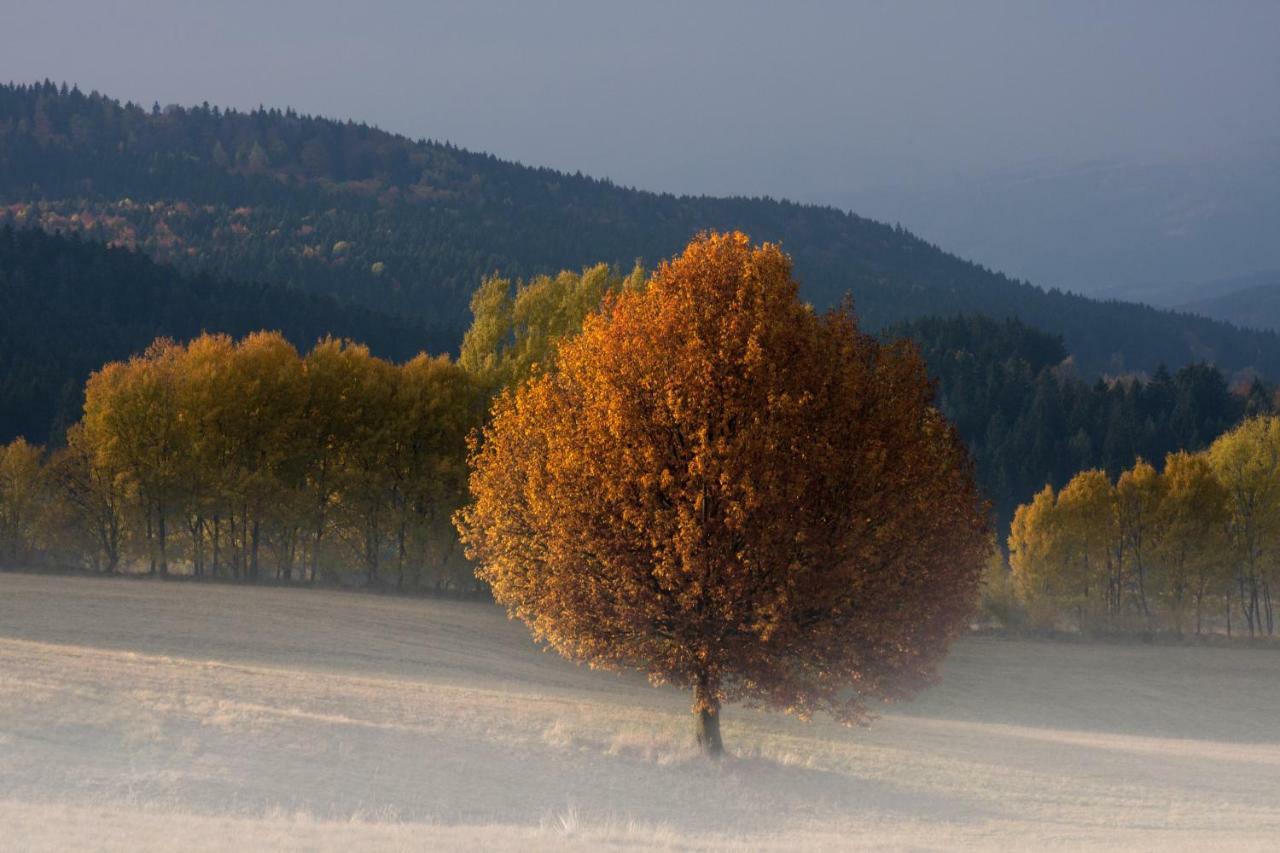 Appartamento U Martinov Poniky Esterno foto